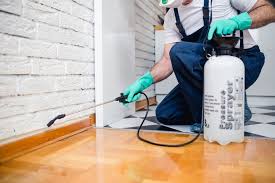 Best Real Estate Pest Inspections  in Sea Bright, NJ